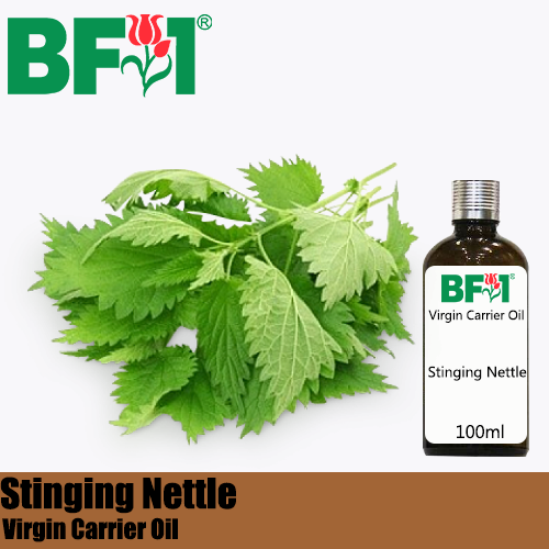 VCO - Stinging Nettle Virgin Carrier Oil - 100ml
