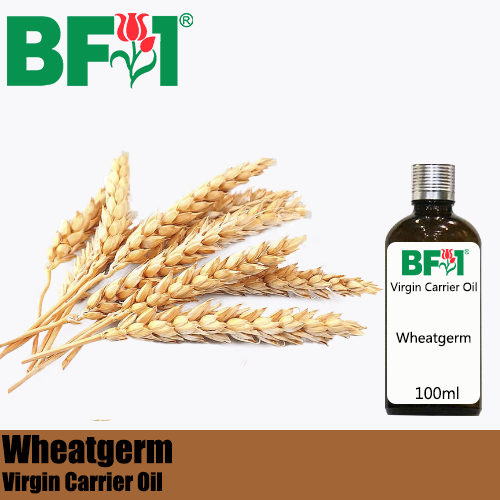 VCO - Wheatgerm Virgin Carrier Oil - 100ml