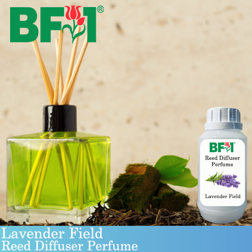 Reed Diffuser Perfume - Nature - Lavender Field - 250ml