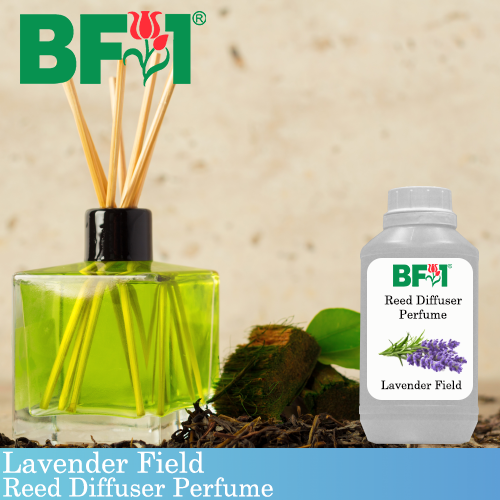Reed Diffuser Perfume - Nature - Lavender Field - 500ml