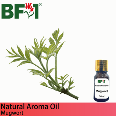 Natural Aroma Oil (AO) - Mugwort Aroma Oil  - 10ml
