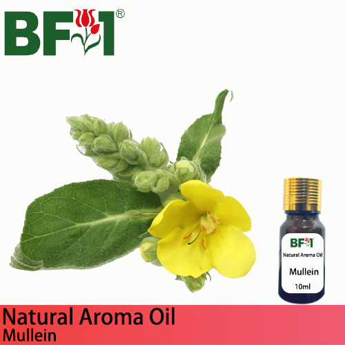 Natural Aroma Oil (AO) - Mullein Aroma Oil  - 10ml
