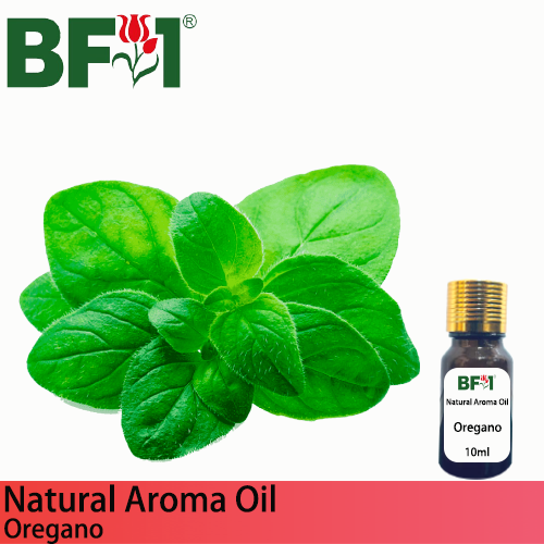 Natural Aroma Oil (AO) - Oregano ( Origanum Vulgare ) Aroma Oil  - 10ml