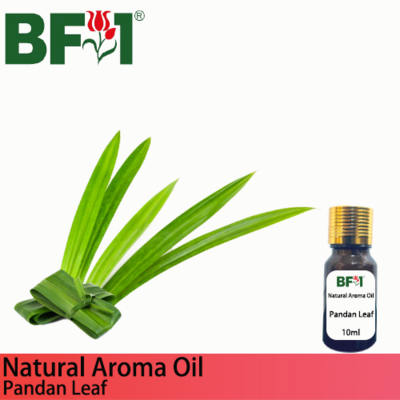 Natural Aroma Oil (AO) - Pandan Leaf Aroma Oil - 10ml