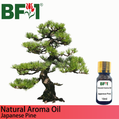 Natural Aroma Oil (AO) - Pine - Japanese Pine Aroma Oil - 10ml