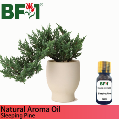 Natural Aroma Oil (AO) - Pine - Sleeping Pine Aroma Oil - 10ml