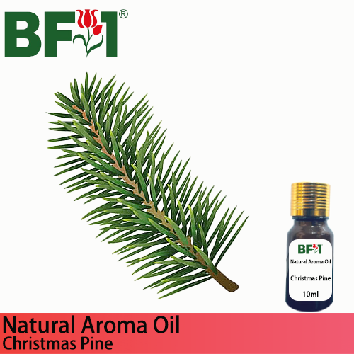 Natural Aroma Oil (AO) - Pine - Christmas Pine Aroma Oil  - 10ml
