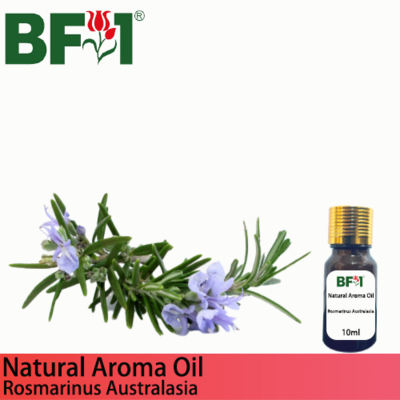 Natural Aroma Oil (AO) - Rosmarinus Australasia Aroma Oil - 10ml