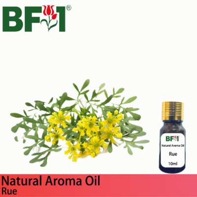 Natural Aroma Oil (AO) - Rue ( Ruta Graveolens ) Aroma Oil - 10ml