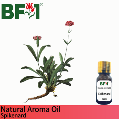 Natural Aroma Oil (AO) - Spikenard Aroma Oil - 10ml