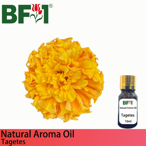 Natural Aroma Oil (AO) - Tagetes Aroma Oil  - 10ml