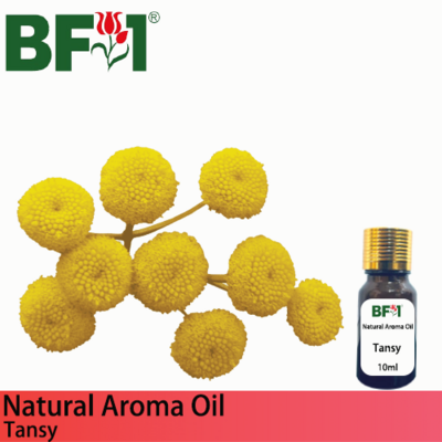 Natural Aroma Oil (AO) - Tansy Aroma Oil - 10ml