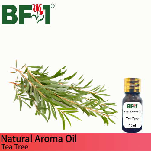 Natural Aroma Oil (AO) - Tea Tree Aroma Oil  - 10ml