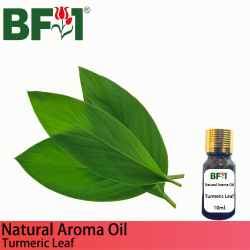 Natural Aroma Oil (AO) - Turmeric Leaf Aroma Oil 10
