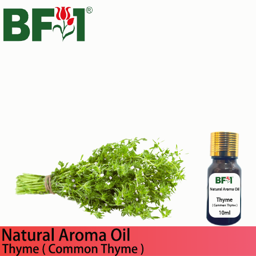 Natural Aroma Oil (AO) - Thyme ( Common Thyme ) Aroma Oil - 10ml