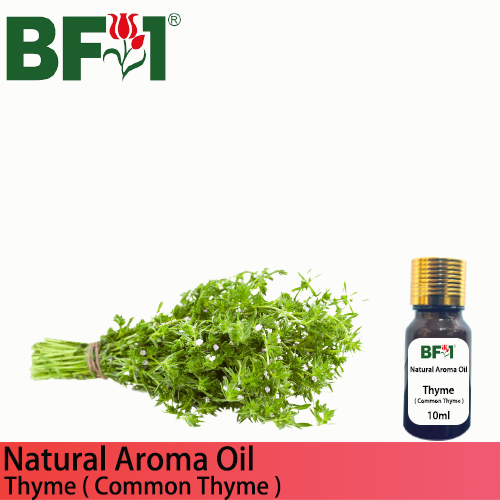 Natural Aroma Oil (AO) - Thyme ( Common Thyme ) Aroma Oil  - 10ml