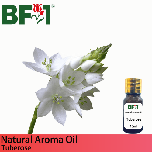 Natural Aroma Oil (AO) - Tuberose Aroma Oil  - 10ml