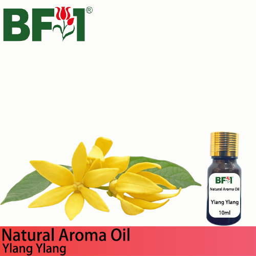 Natural Aroma Oil (AO) - Ylang Ylang Aroma Oil  - 10ml