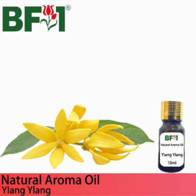 Natural Aroma Oil (AO) - Ylang Ylang Aroma Oil - 10ml