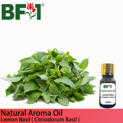 Natural Aroma Oil (AO) - Basil - Lemon Basil ( Citriodorum Basil ) Aroma Oil - 10ml