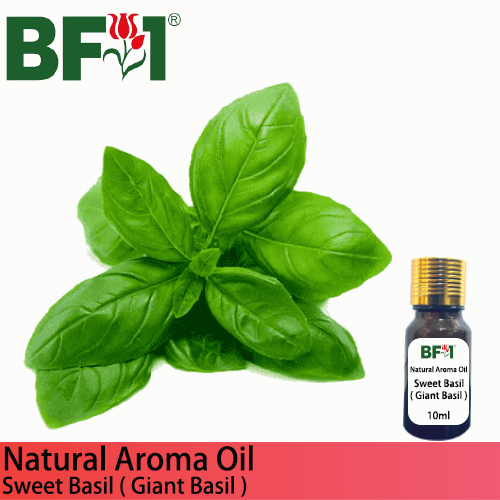 Natural Aroma Oil (AO) - Basil - Sweet Basil ( Giant Basil ) Aroma Oil - 10ml