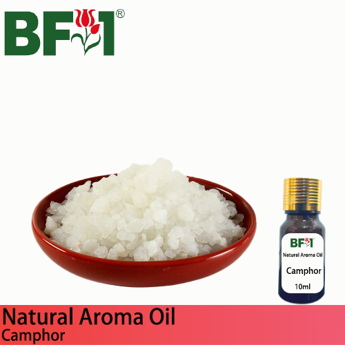 Natural Aroma Oil (AO) - Camphor Aroma Oil - 10ml