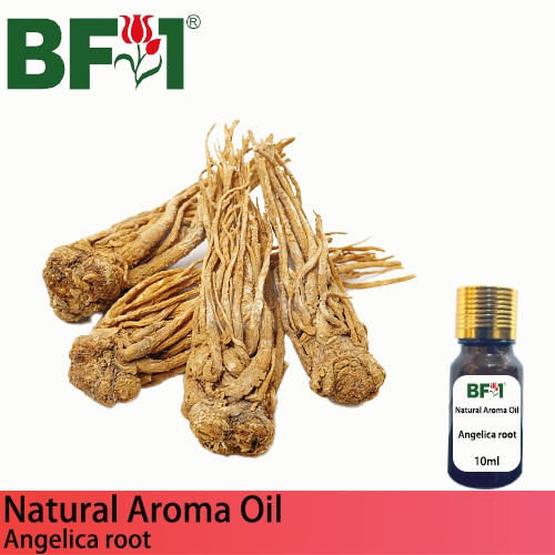 Natural Aroma Oil (AO) - Angelica root Aroma Oil - 10ml