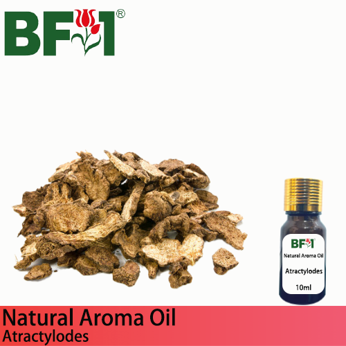 Natural Aroma Oil (AO) - Atractylodes Aroma Oil - 10ml