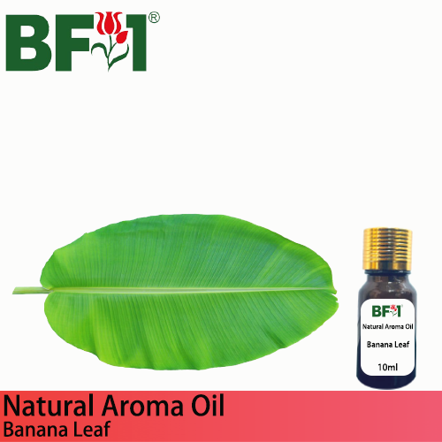 Natural Aroma Oil (AO) - Banana Leaf Aroma Oil - 10ml