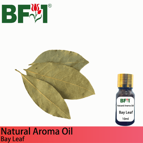 Natural Aroma Oil (AO) - Bay Leaf Aroma Oil - 10ml