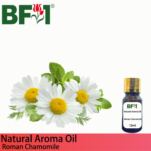Natural Aroma Oil (AO) - Chamomile - Roman Chamomile Aroma Oil - 10ml
