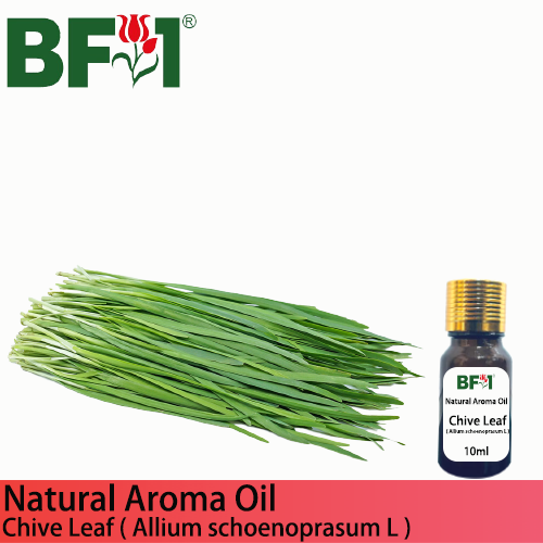 Natural Aroma Oil (AO) - Chive Leaf ( Allium schoenoprasum L ) Aroma Oil - 10ml