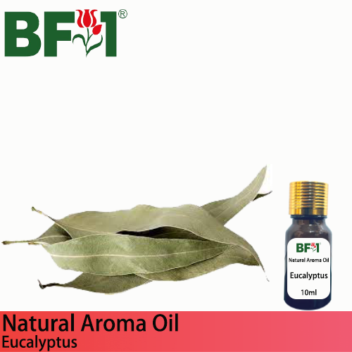 Natural Aroma Oil (AO) - Eucalyptus Aroma Oil - 10ml