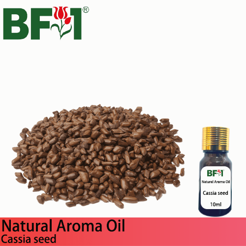 Natural Aroma Oil (AO) - Cassia seed Aroma Oil - 10ml