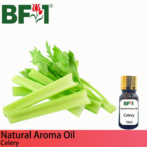 Natural Aroma Oil (AO) - Celery Aroma Oil - 10ml