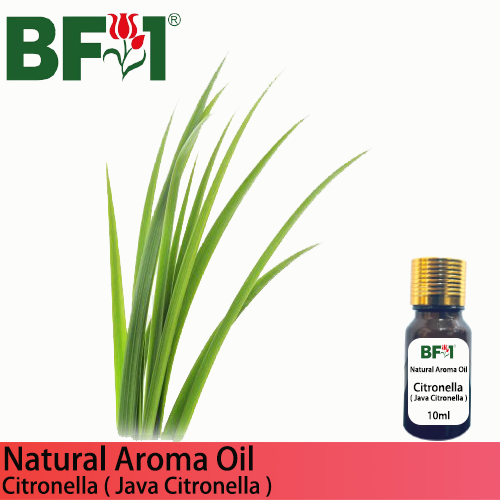 Natural Aroma Oil (AO) - Citronella ( Java Citronella ) Aroma Oil - 10ml