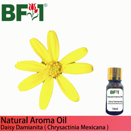Natural Aroma Oil (AO) - Daisy Damianita ( Chrysactinia Mexicana ) Aroma Oil - 10ml