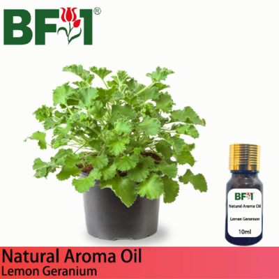 Natural Aroma Oil (AO) - Geranium - Lemon Geranium Aroma Oil - 10ml