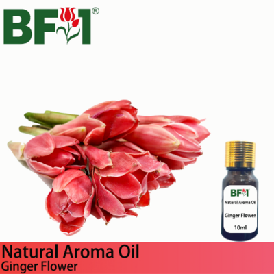 Natural Aroma Oil (AO) - Ginger Flower Aroma Oil - 10ml
