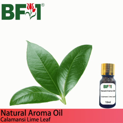 Natural Aroma Oil (AO) - Lime - Calamansi Lime Leaf Aroma Oil - 10ml