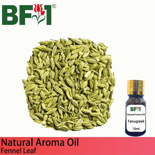 Natural Aroma Oil (AO) - Fennel Aroma Oil - 10ml