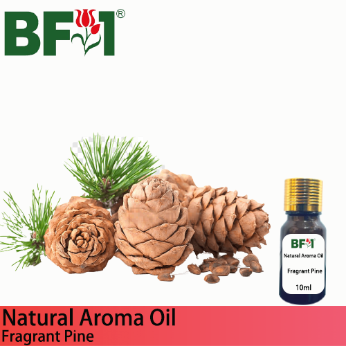 Natural Aroma Oil (AO) - Pine - Fragrant Pine Aroma Oil - 10ml