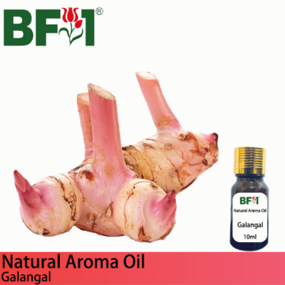 Natural Aroma Oil (AO) - Galangal Aroma Oil - 10ml