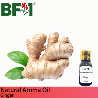 Natural Aroma Oil (AO) - Ginger Aroma Oil - 10ml