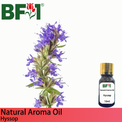 Natural Aroma Oil (AO) - Hyssop Aroma Oil - 10ml