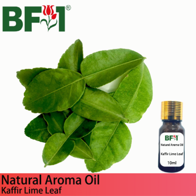 Natural Aroma Oil (AO) - Lime - Kaffir Lime Leaf Aroma Oil - 10ml