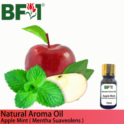 Natural Aroma Oil (AO) - Mint - Apple Mint ( Mentha Suaveolens ) Aroma Oil - 10ml
