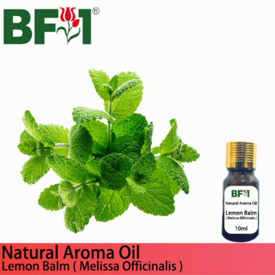Natural Aroma Oil (AO) - Mint - Lemon Balm ( Melissa Officinalis ) Aroma Oil - 10ml