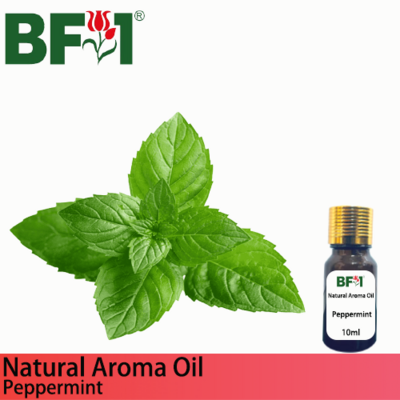 Natural Aroma Oil (AO) - Mint - Peppermint ( Mentha Piperita ) Aroma Oil - 10ml