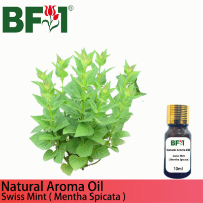 Natural Aroma Oil (AO) - Mint - Swiss Mint ( Mentha Spicata ) Aroma Oil - 10ml